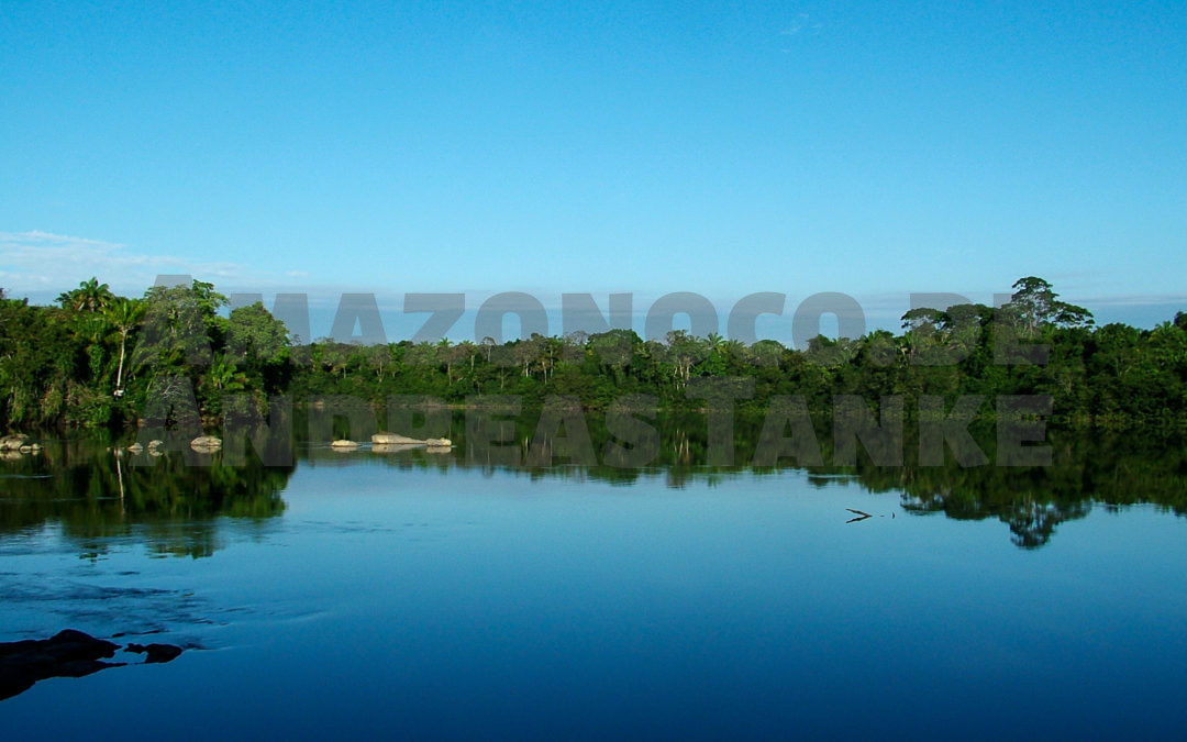 In the North of Brazil – Search for new plecos