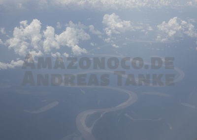 Amazonischer Dschungel