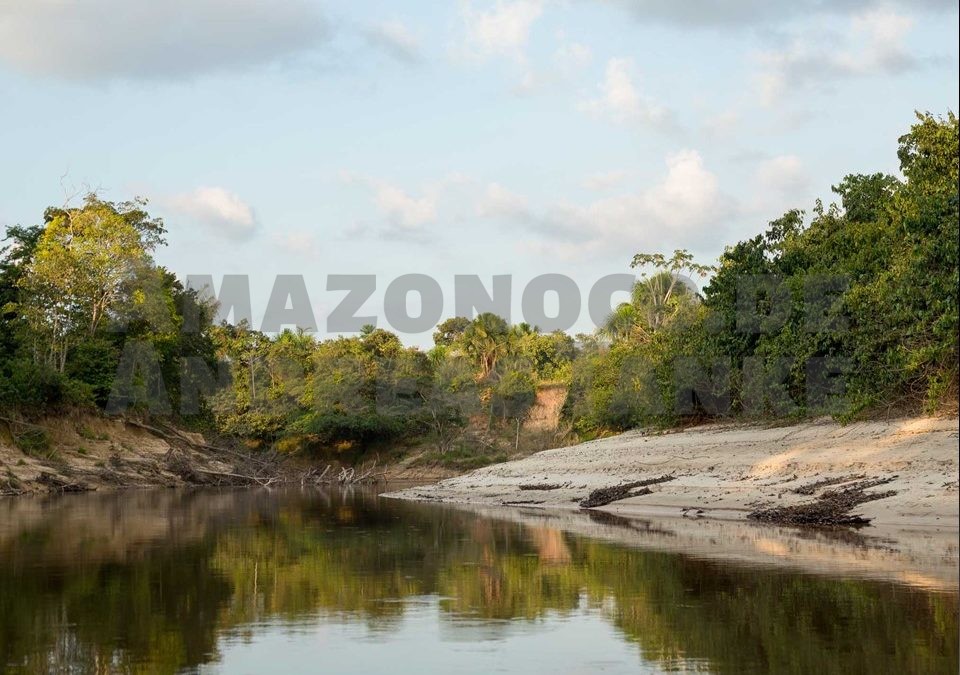 Perú – Expeditions in the amazonian lowlands